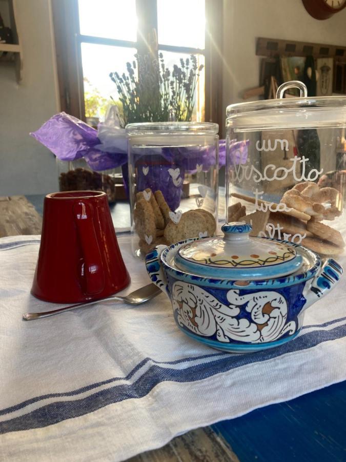 La Casa Di Ciaccia Lejlighed Camaiore Eksteriør billede